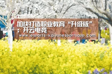  电竞官网