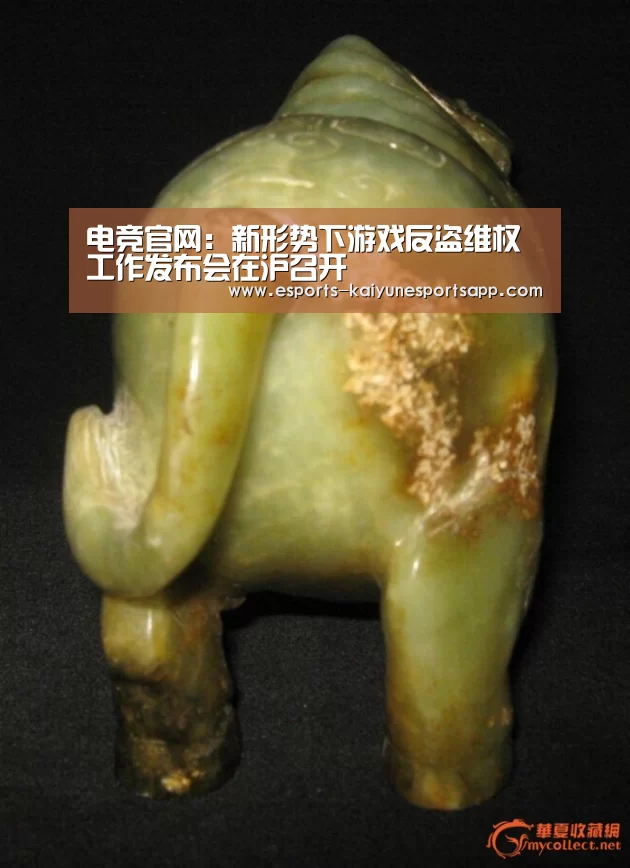 开云电竞