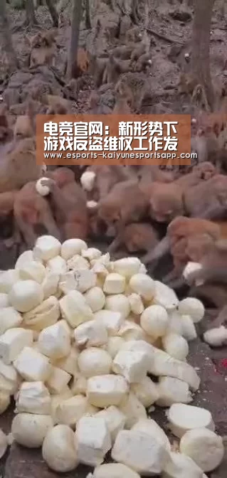开云电竞