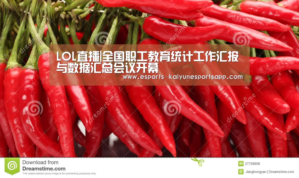 开云电竞