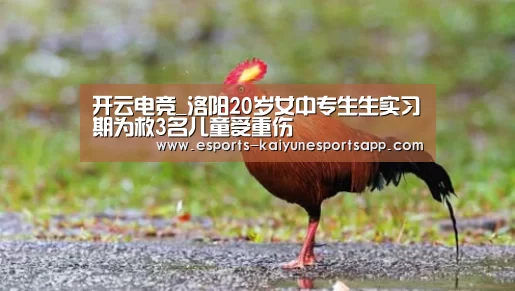 开云电竞