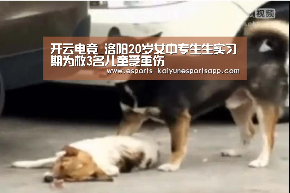  电竞官网